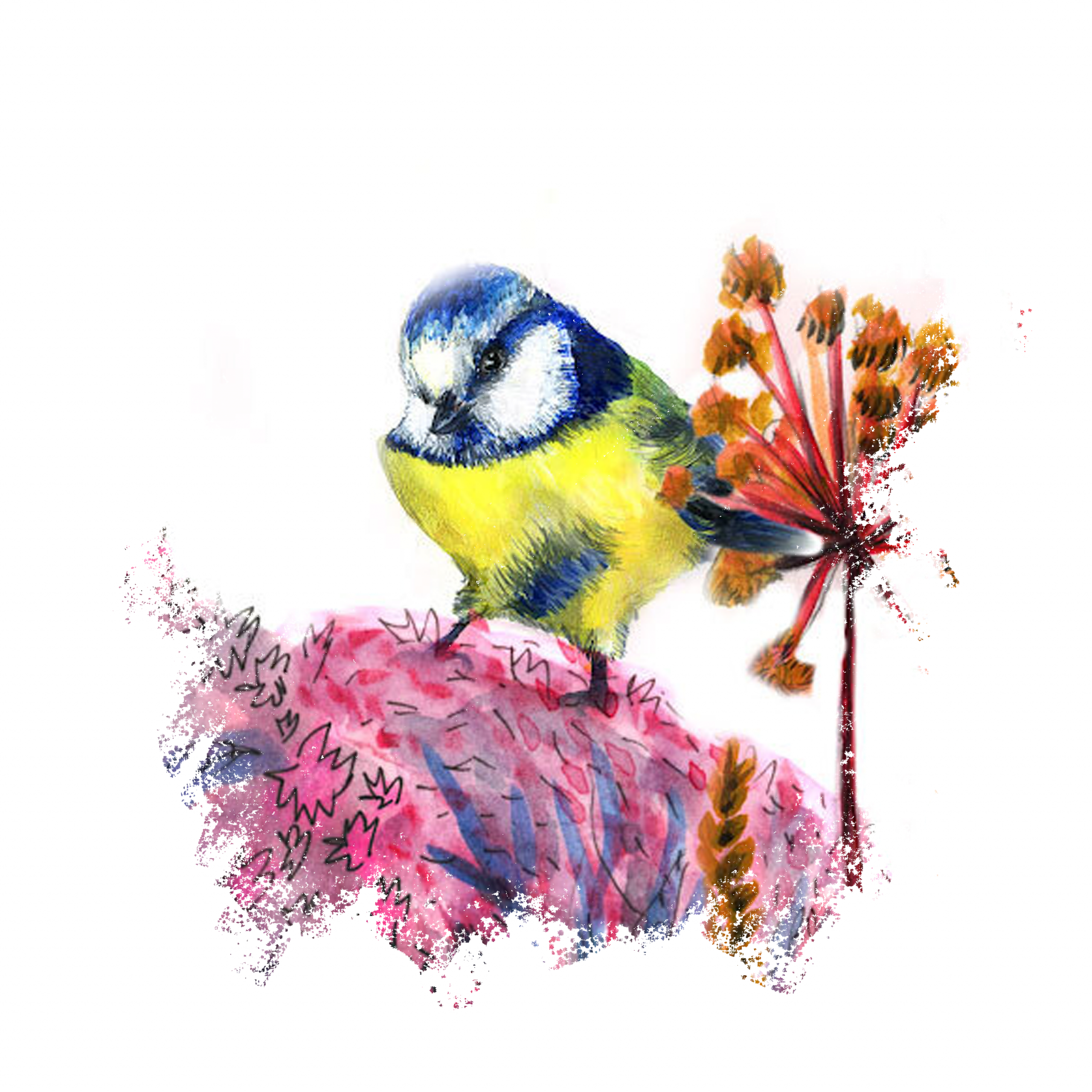 fantasy hand-made drawing of a bird on leaves and flowers, as a symbol of the fair view environment of Parihaven